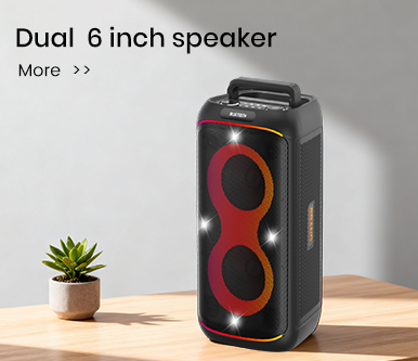 6 inch speaker