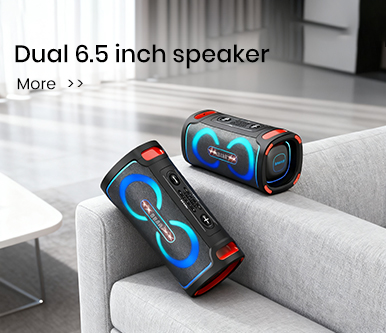6.5 inch speaker